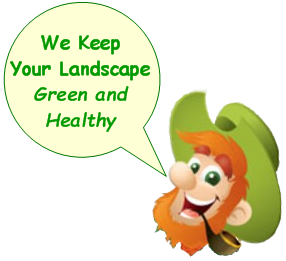 brand leprechaun character saying green and healthy